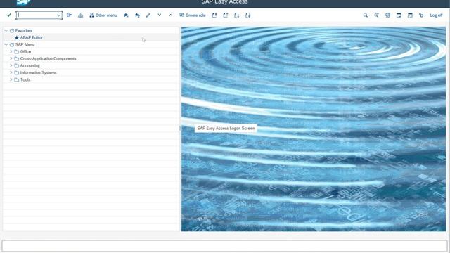 SAP GUI Installation - Step-by-Step Guide to SAP Post Installation Steps (Lecture 9)