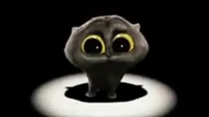 кот на сцене танцует