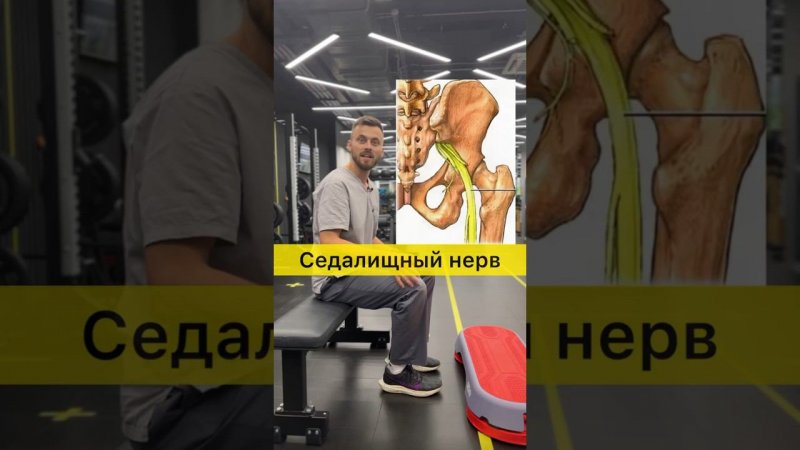 ✅ Боль в седалищном нерве, делай это упражнение и станет легче #массажспб #седалищныйнерв