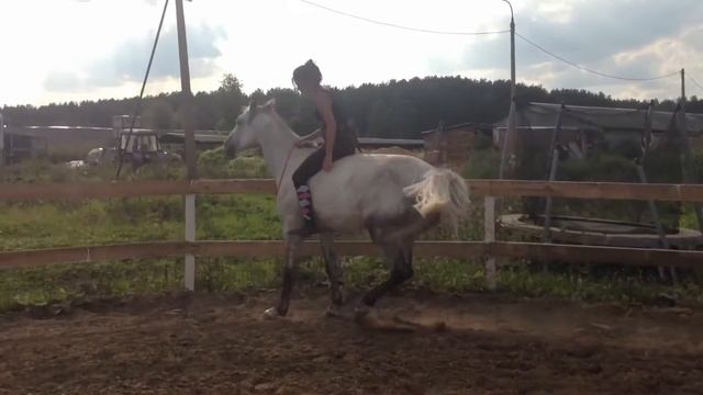 Чудо лошадь смотреть онлайн