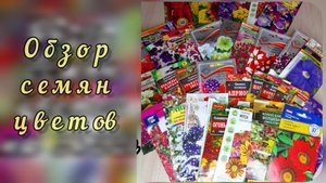 Обзор семян цветов. Семена цветов  мой выбор.