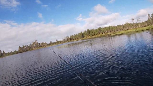 РЫБАЛКА НА СЕВЕРЕ (день четвертый).Нападение щуки на щуку ,утренний клев!!! смотреть онлайн