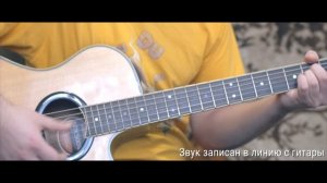 Струны с Aliexpress ZIKO DUS-010 10-48 (Тест звука)