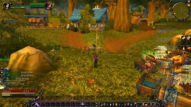 The Quest for LoreMaster - Let's play WoW - Human Rogue - Part 8 смотреть онлайн