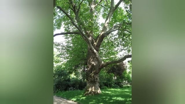 КАК МЕРТВЫЕ ПРИХОДЯТ К ЖИВЫМ!!ПОСМЕРТНЫЕ ВЕЩАНИЯ СВЯТОГО НИЛА МИРОТОЧИВОГО смотреть онлайн