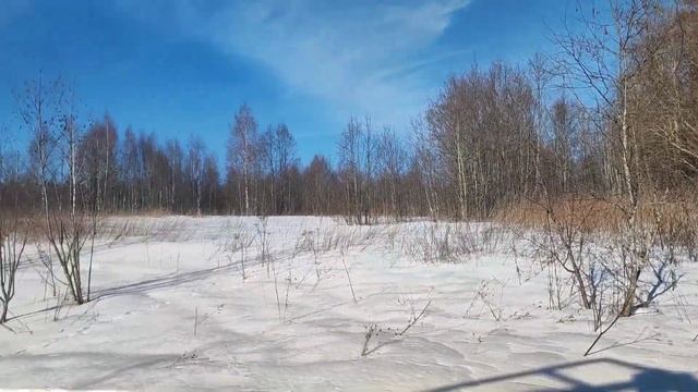 Модернизация ЛЭПа в деревню. Тянем 380 V !!!!!!! Часть 1. смотреть онлайн