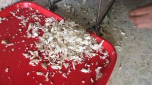 Нарезка грибов слайсером