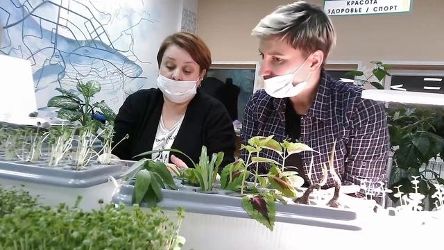 Тематическая встреча «Гидропоника – технология будущего»