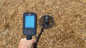 Minelab Manticore Metal Detector (Gold & Silver) Test & Park Hunt