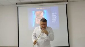 Пищеварительная система / Digestive system