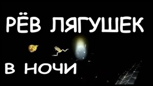 Мой дачный пруд. Звуки природы. Рёв лягушек в пруду.