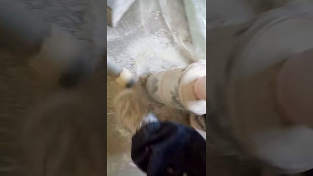 Циклонный фильтр двойной фильтрации (cyclone dust collector) смотреть онлайн