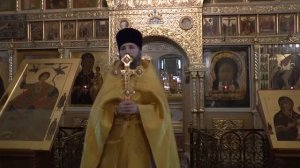 Иерей Евгений Ефремов. День памяти священномученика Никиты Орехово-Зуевского. 19.11.2017