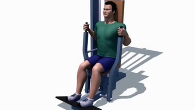 Горизонтальный жим сидя параллельным хватом смотреть онлайн