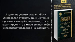 Не подчинение Аллаху - это глупость | Шейх Абдурраззак аль-Бадр | №44