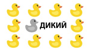 Дикий