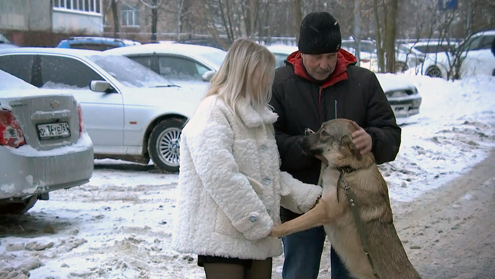 В Подмосковье спасли провалившуюся под лед Принцессу / Город новостей на ТВЦ