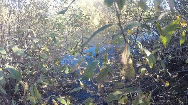 Охота со Старым смотреть онлайн