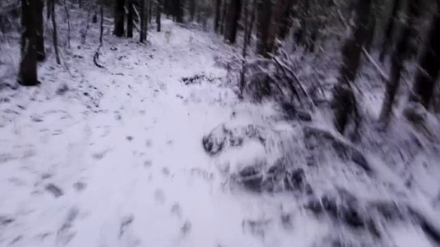 Тайга Зимовье  Промысел 2