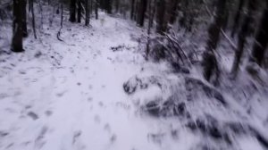 Тайга Зимовье  Промысел 2