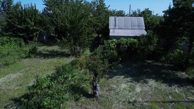 Дача,Масловка смотреть онлайн