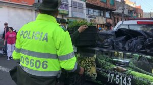 Campaña no a la comercialización de palma de cera y vino