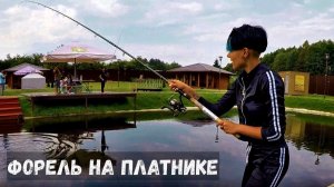 ЛОВЛЯ ФОРЕЛИ НА ПЛАТНИКЕ. Рыбалка в Беларуси #21