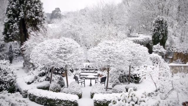 КЛИМАТИЧЕСКИЕ зоны для хвойных - это важно! Объяснения и советы от Евгении смотреть онлайн