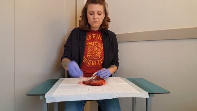 Placenta Tour with Birth Doula Angie Hotz смотреть онлайн