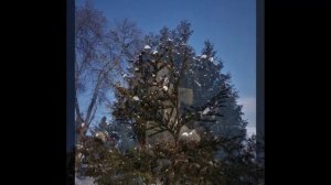 Ожидание..поёт Клавдия Шульженко.mp4