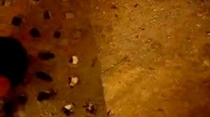 видео работы  печи на опилках,отработке,бумаге.