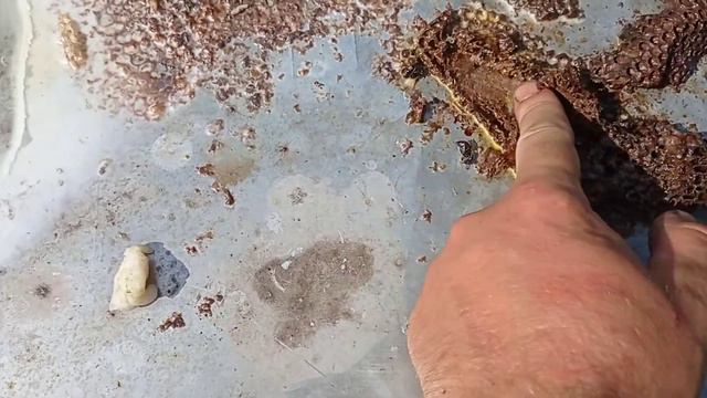 Из чего они делают вощину?! смотреть онлайн