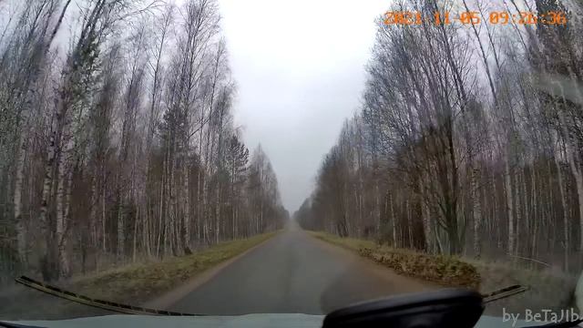 д. Бахмутово → х. Новоалександровский [29Н-029 29Н-397 29Н-394] (ноябрь 2021)