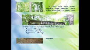 к 60-летию  со времени присвоения Данилевичскому Царь-дубу Лельчицкого района памятника природы