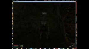 ADHD Adventure Morrowind Part IV - CAVE EXPLORATION! (epic ending)