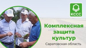 Комплексная защита культур в Саратовской области