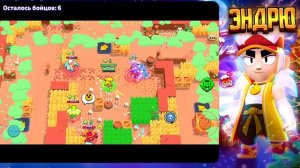 АПАЕМ 35 РАНГ / СТРИМ БРАВЛ СТАРС