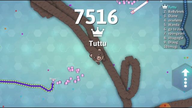 Snake.io/grizzly python/ score 9k