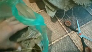Распаковка посылки с пионом