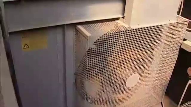 Голландские тюльпаны   технология сбора