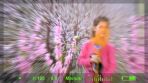 Весенняя фотозона