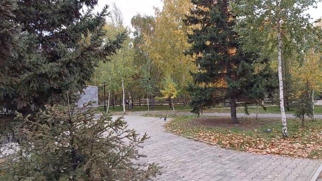 4 ноября 2023 г.