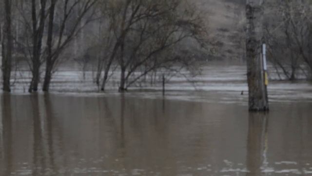 Аномальное половодье на реке Томь 26.04.2015 смотреть онлайн