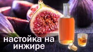 Рецепт настойки!!!  Настойка на инжире!! настойка от канала свой среди своих кулинария