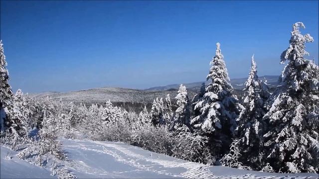 Пуговица счастья – мощный оберег своими руками