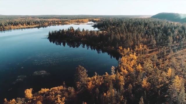 Тундра — северный край