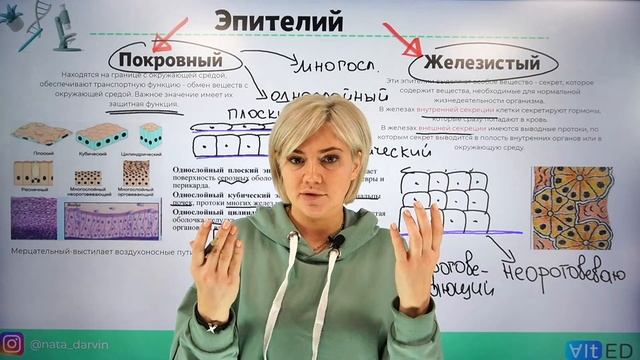 Ткани человека