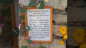 Святой источник в Задонске.