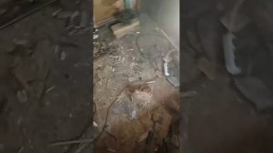 Как правильно пилить морской контейнер или как не стать инвалидом