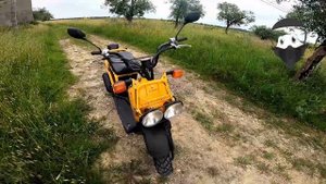 HONDA Zoomer - Review & Test Ride